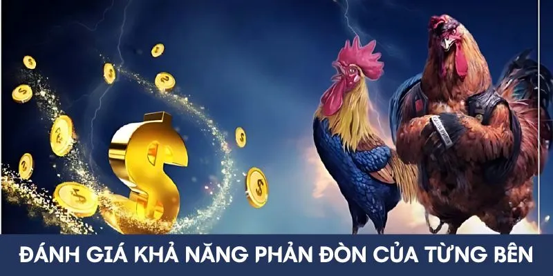 Đánh giá khả năng phản đòn của từng bên