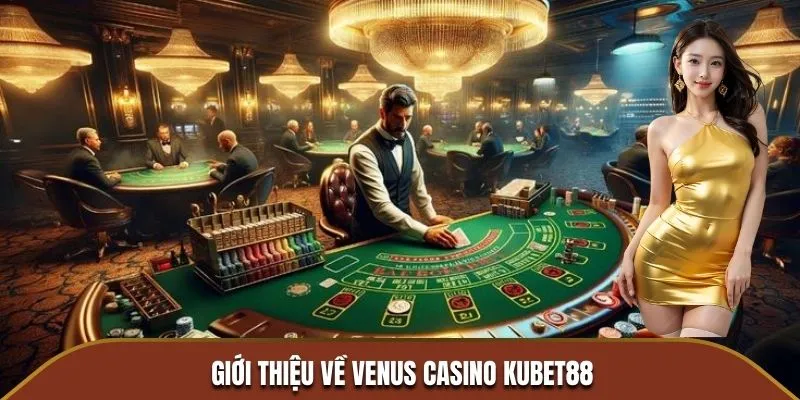 Giới thiệu về Venus casino Kubet88