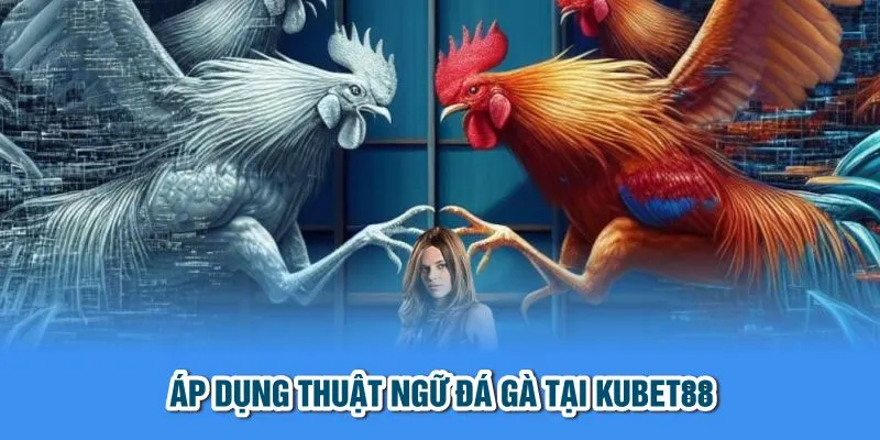 Áp dụng thuật ngữ đá gà tại Kubet88