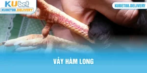 thumb vảy hàm long