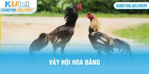 thumb vảy hội hoa đăng