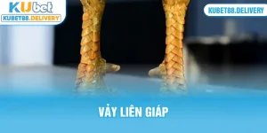 thumb vảy liên giáp