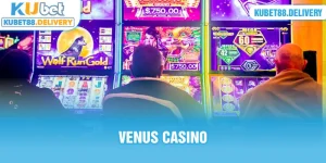 thumb venus casino