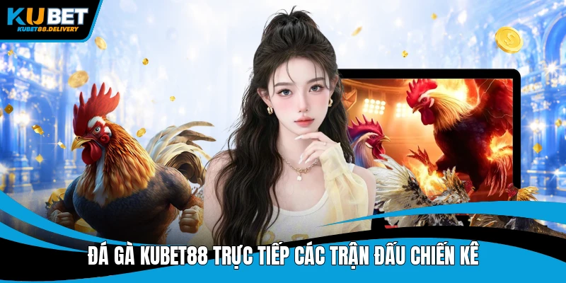 Đá gà Kubet88 trực tiếp các trận đấu chiến kê