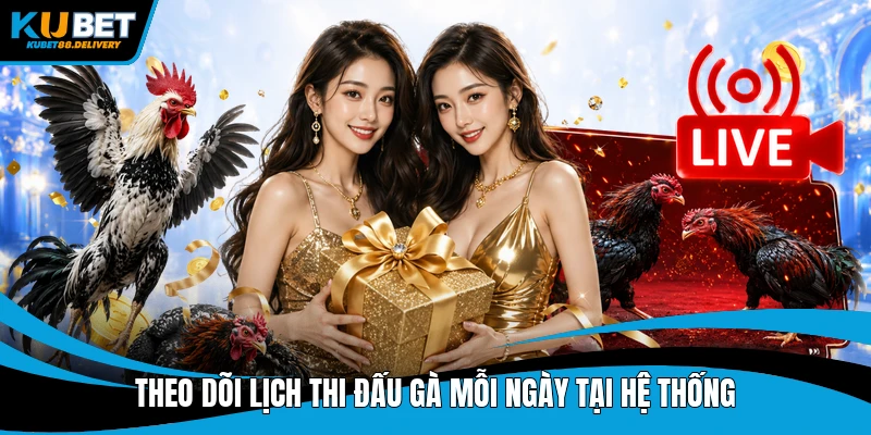 Theo dõi lịch thi đấu gà mỗi ngày tại hệ thống
